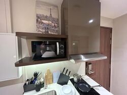 Mount Elizabeth Link (D9), Condominium #484100521